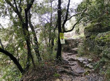 Tocht Stappen La Colle-sur-Loup - la colle falaise - Photo