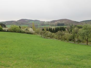 Tour Zu Fuß Künzell-Bachrain - Dietershausen Rundweg 6 - Photo