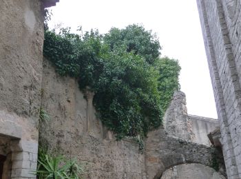 Percorso A piedi Saint-Guilhem-le-Désert - PR Fenestrettes - Photo