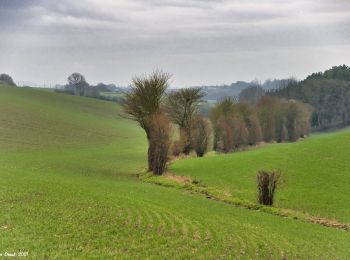 Tocht Stappen La Gaudaine - La Gaudaine - les panoramas 12 km - Photo