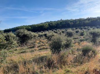 Trail Walking La Touche - Colombier Citelles  10km. - Photo