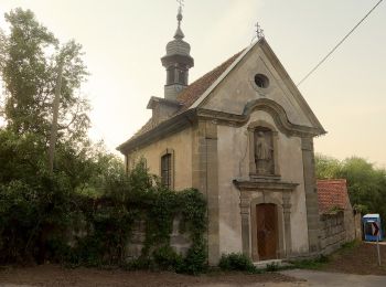 Tour Zu Fuß Stettfeld - Rundwanderweg Fasan Stettfeld - Photo