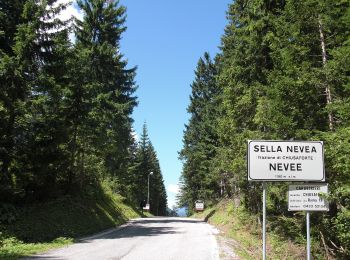 Excursión A pie Tarvisio - (SI A09) Bivio Rifugio Pellarini - Cave del Predil - Sella Nevea Rifugio Julia - Photo