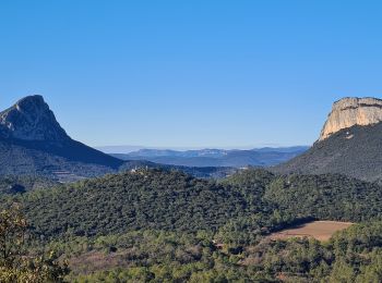 Excursión Senderismo Saint-Mathieu-de-Tréviers - st_mathieu_treviers_tour_Sales_Lac_Ceceles - Photo