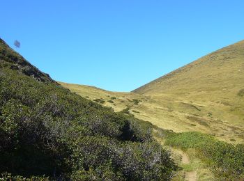 Excursión A pie Bordères-Louron - Lac de Bareilles et Mont Né - Photo