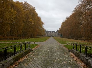 Randonnée A pied Moigny-sur-École - Chemin des Grés et des Bruyères - Photo