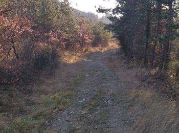 Tour Wandern Puy-Saint-Martin - 26 Puy St Martin 12.01.22 - Photo