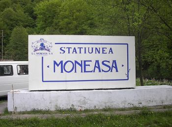 Tour Zu Fuß  - Moneasa – Valea Lunga – Câmp Moti – Vascau – Varzarii de Sus – Baita - Photo