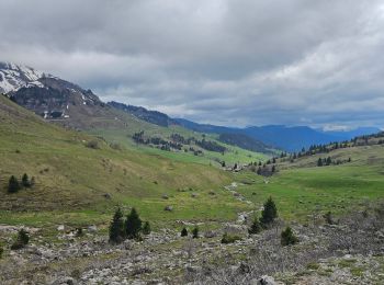 Randonnée V.T.T. Le Grand-Bornand - Maroly - Colombière - Photo