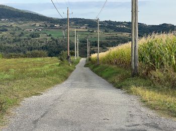 Tour Zu Fuß Colombier-le-Vieux - Randonnée : Les Gorges de la Daronne - Photo