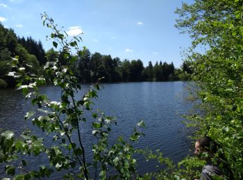 Trail Walking Girmont-Val-d'Ajol - Etang Villerain-la Beuille-Etang Mollière 17-05-20 - Photo