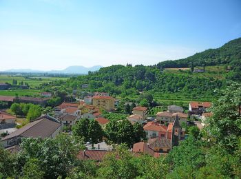 Tocht Te voet Castegnero - Sentiero del Monte delle Rose - Photo