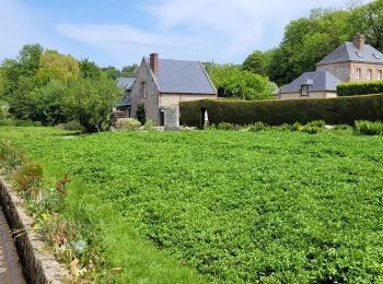 Randonnée Marche Veules-les-Roses - Veules les roses par son fleuve  - Photo