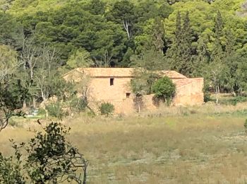 Trail Walking Begur - Begur randonnée rouge gr22 - Photo