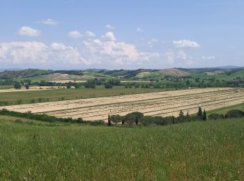 Tocht Stappen Siena - Sienne /  Ponte d'Arbia - Photo