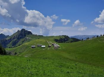 Percorso Marcia Fillière - Chalets des Auges - Photo