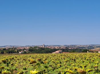 Tocht Stappen Miradoux - miradoux lectoure - Photo