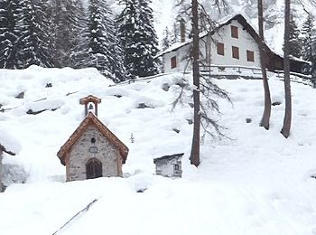 Trail On foot Forni di Sopra - IT-346 - Photo