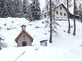 Randonnée A pied Forni di Sopra - IT-346 - Photo