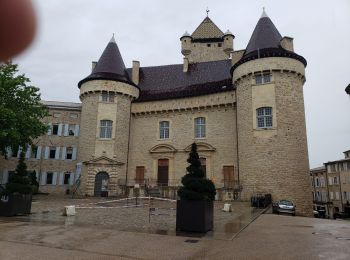 Tour Andere Aktivitäten Vallées-d'Antraigues-Asperjoc - entraigues - Photo