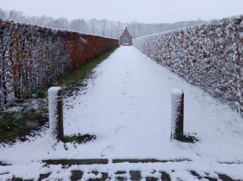 Randonnée Marche Zoersel - Promenade en boucle Zoersel Westmalle - Photo