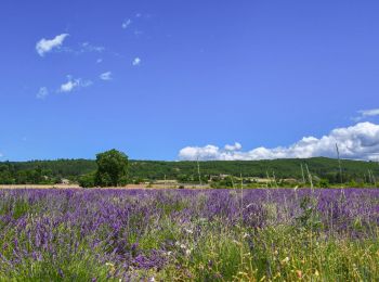 Randonnée Marche Espeluche - Le Huit d'Espeluche 7km4 - Photo