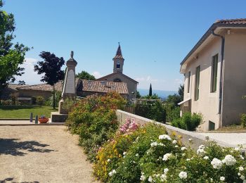 Randonnée Marche La Baume-Cornillane - La Baume-Cornillane  - Photo