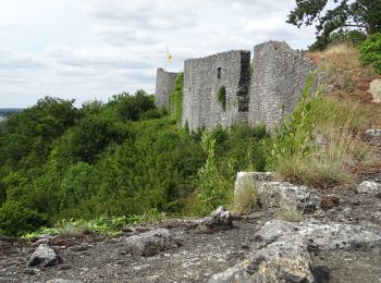 Tour Auto Dinant - Circuit des vieilles pierres (circuit auto)  - Photo
