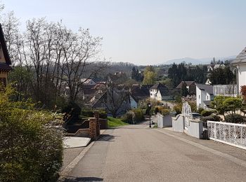 Randonnée Marche Dahlenheim - Circuit du Rutscherle variante - Photo