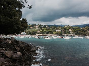 Percorso A piedi Rapallo - Rapallo - Monte Pegge - Photo