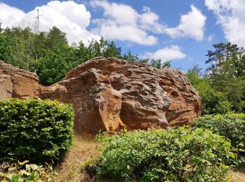 Randonnée Marche Chaumont-Gistoux - Sur les traces de la préhistoire  - Photo