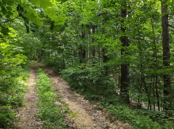 Tour Zu Fuß Kunzendorf - [Ž] Mladějov - Nad Vískou - Photo