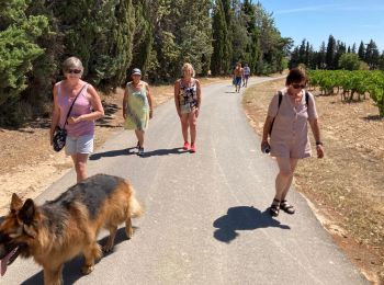 Tour Wandern Saint-Cannat - Saint Cannat 05/08/2021 - Photo