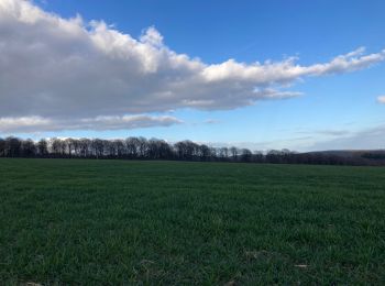 Tocht Stappen Yvoir - Durnal - Photo