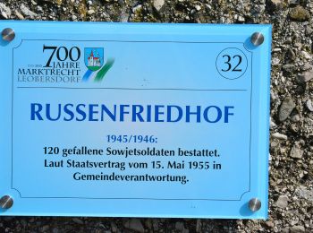 Tour Zu Fuß Leobersdorf - Mariazellerhof Runde 