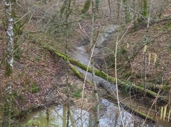 Tocht Stappen Cheminon - sermaize raival - Photo