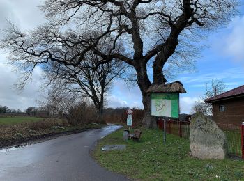 Percorso A piedi Groß Wittensee - Wanderroute 11: Groß Wittensee - Schlaukweg - Haby - Photo