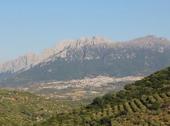 Tour Zu Fuß Durgali/Dorgali - Grande Traversata Supramontes Tappa 3 - Photo