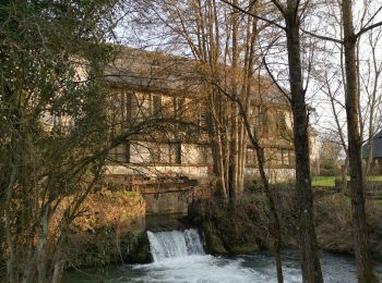 Randonnée Marche Vassonville - vassonville bosmelet st Denis sur scie - Photo