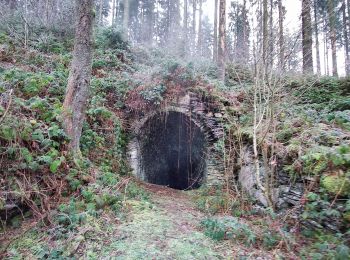 Tour Wandern Viroinval - Le Trou du Diable à Oignies en Thiérache - Photo