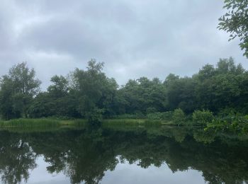 Tour Zu Fuß Hoogeveen - Groene rondwandeling - Photo