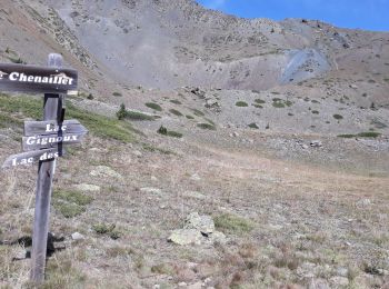 Tocht Stappen Cervières - cime saurel - Photo