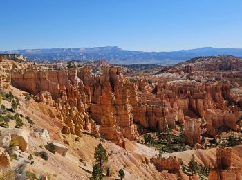 Randonnée Marche  - 2024 Bryce Canyon Queen's Trail - Photo