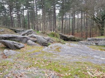 Randonnée Marche Vaumoise - forêt de Retz Vaumoise - Photo