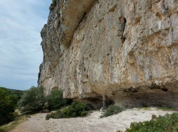 Excursión Senderismo Claret - de claret vers corconne - Photo