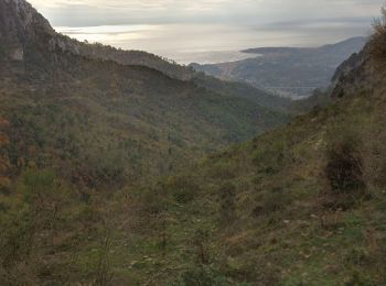 Tocht Trail Castellar - Grand mont- col du berceau or les crêtes - Photo