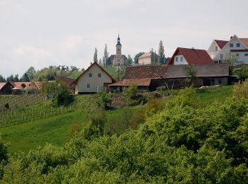 Randonnée A pied Kitzeck im Sausal - Kitzecker Weinwanderweg - Photo