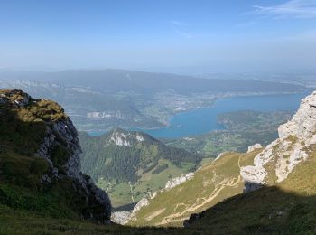 Tour Wandern Talloires-Montmin - La Tournette - Photo