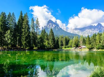 Tocht Te voet Primiero San Martino di Castrozza - Sentiero 