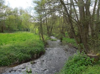 Tocht Te voet Bad Wildungen - Bergwerk, Naturparkweg 2 - Photo